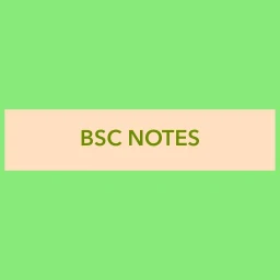 BSC NOTES icon